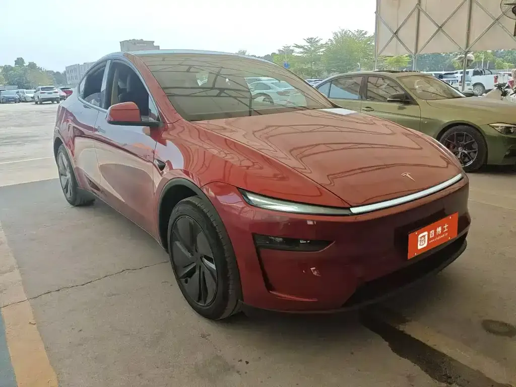 Tesla Model Y — фото 8
