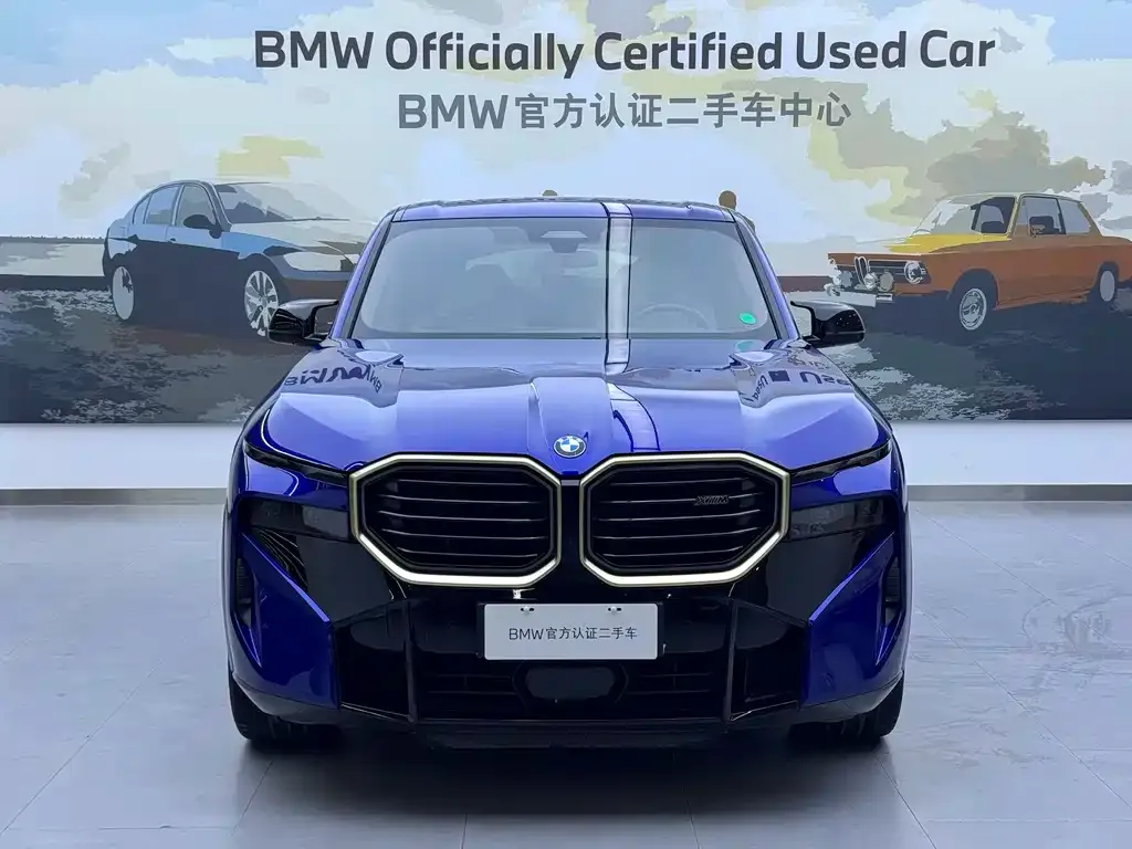 BMW XM — фото 9