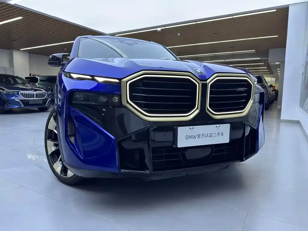 BMW XM — фото 8