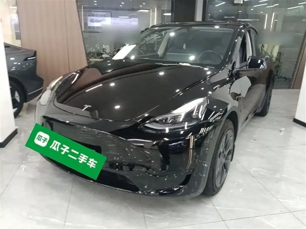 Tesla Model Y — фото 9