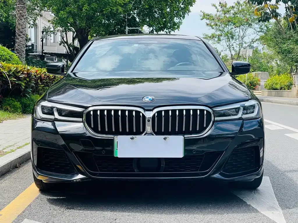 BMW 5 Series New Energy — фото 6