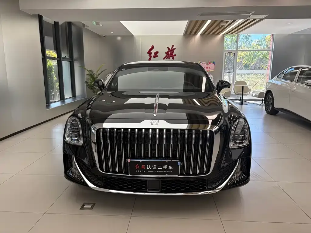 Hongqi Hongqi Golden Sunflower Guoya — фото 9