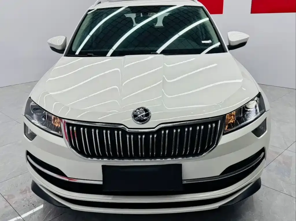Skoda Karoq — фото 7