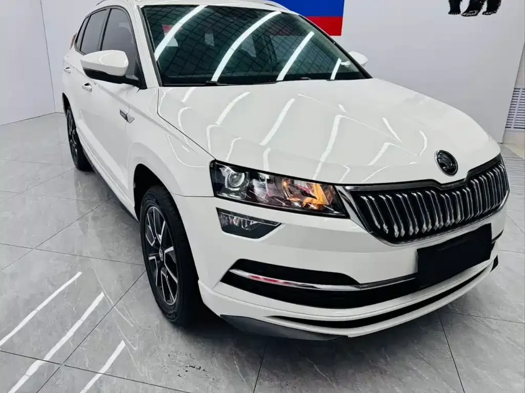 Skoda Karoq — фото 6