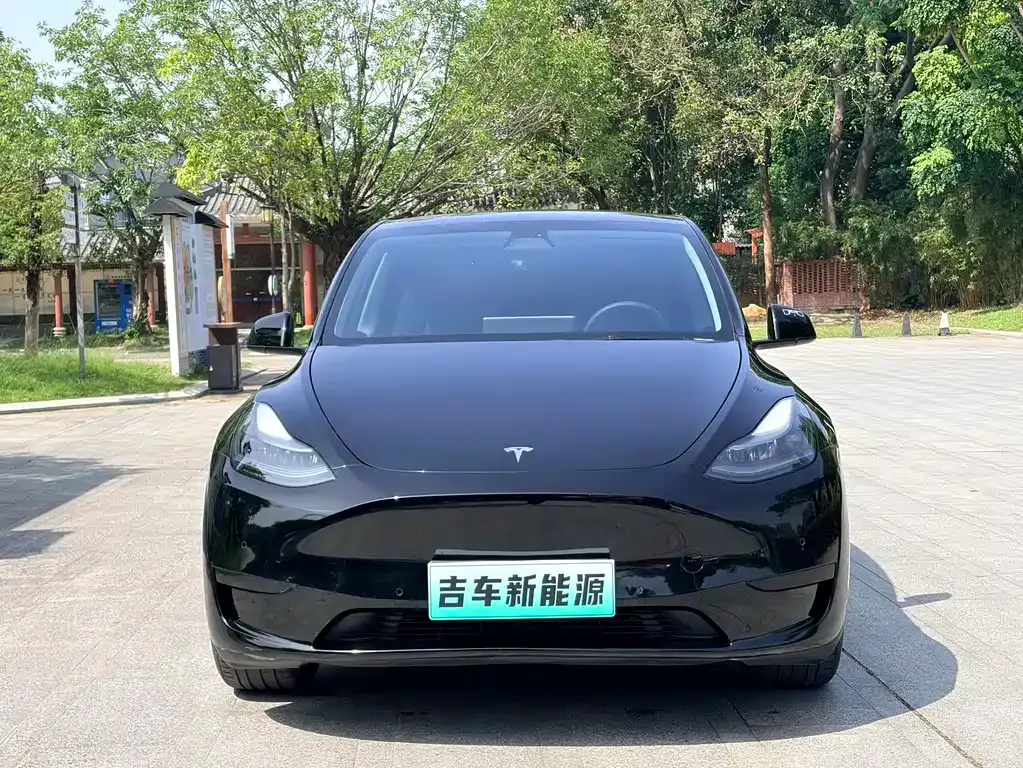 Tesla Model Y — фото 1