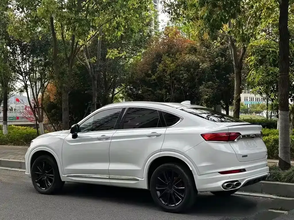 Geely Xingyue S — фото 8