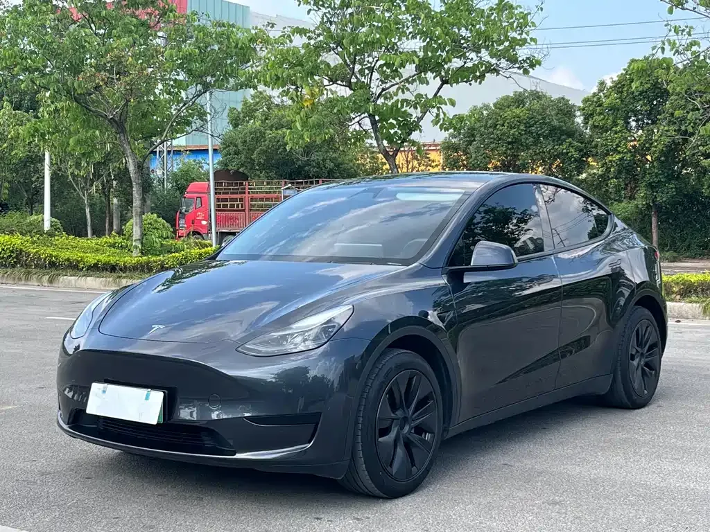 Tesla Model Y — фото 1