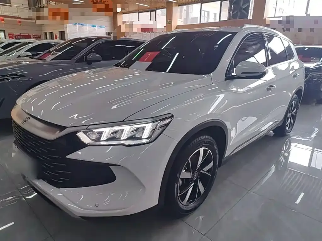 BYD Pro New Energy — фото 1