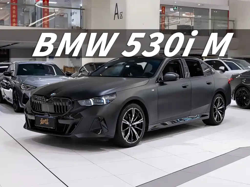 BMW 5 Series (Import) — фото 1