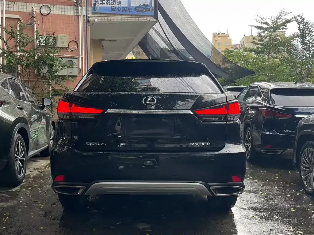 Lexus RX — фото 5
