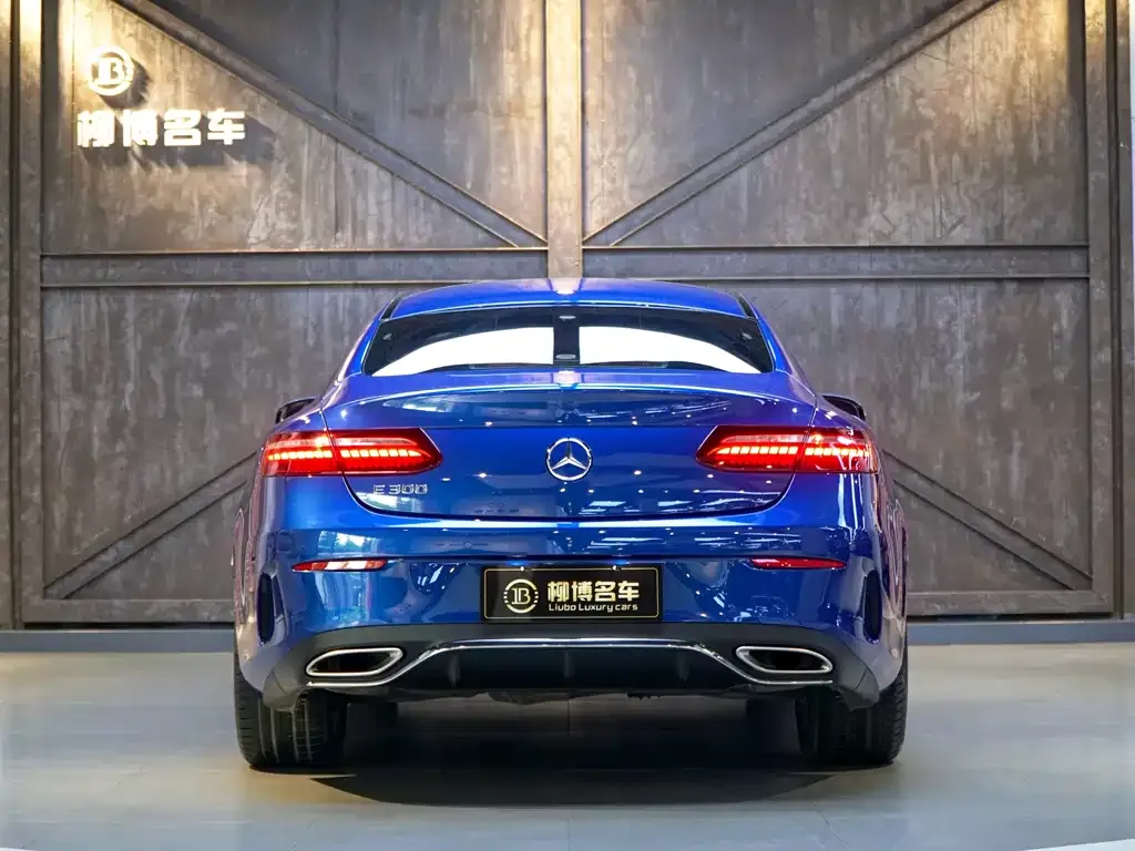 Mercedes-Benz E-Class (Import) — фото 10