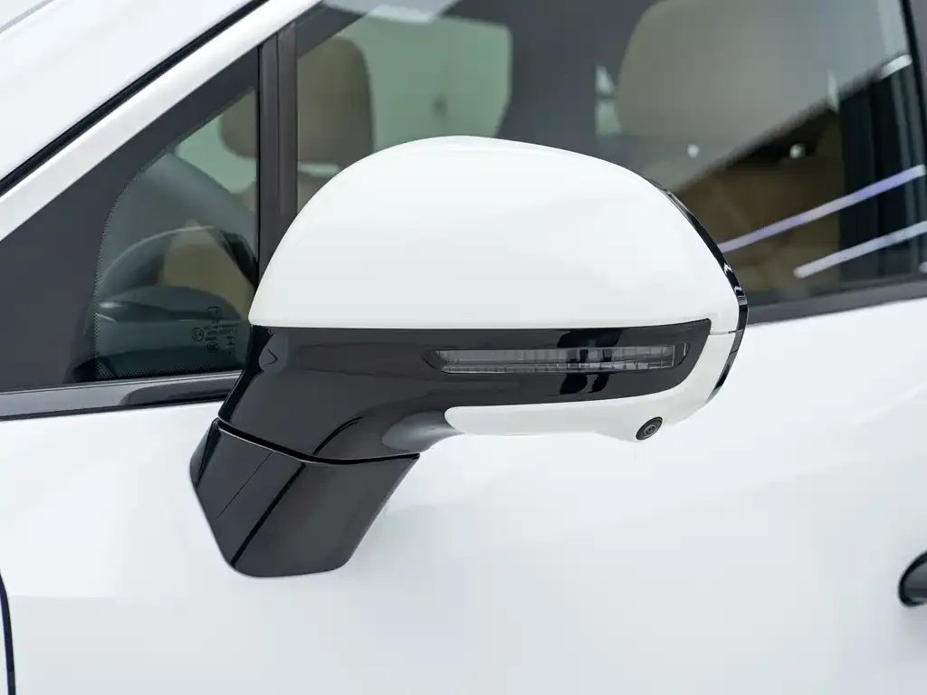 BYD L DM-i — фото 2