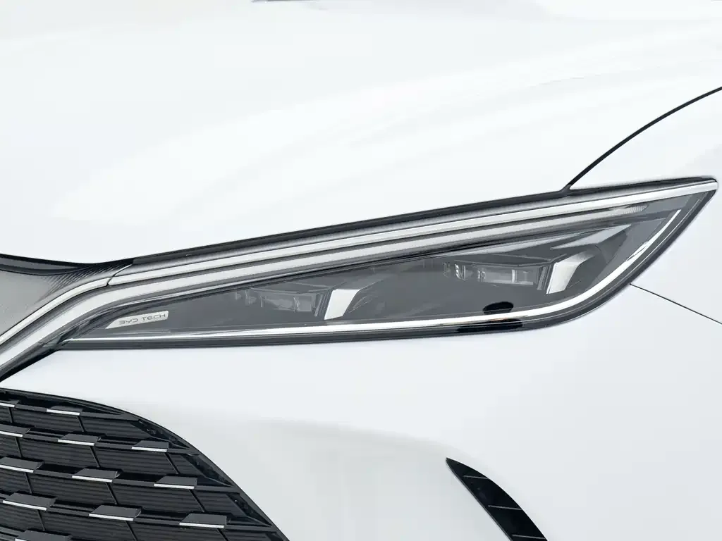 BYD L DM-i — фото 6