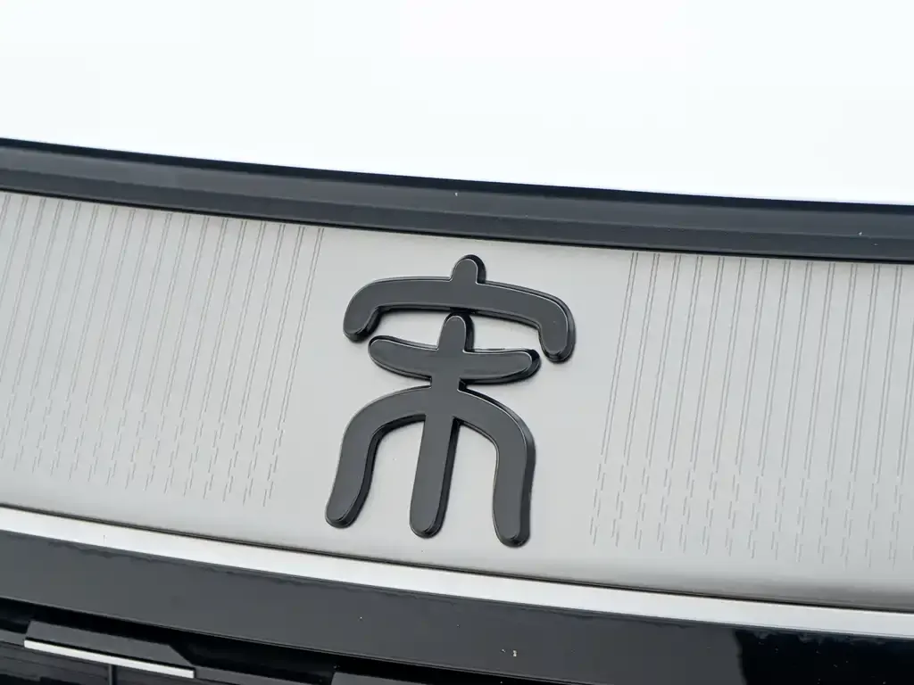 BYD L DM-i — фото 4