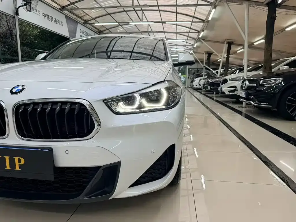 BMW X2 — фото 2
