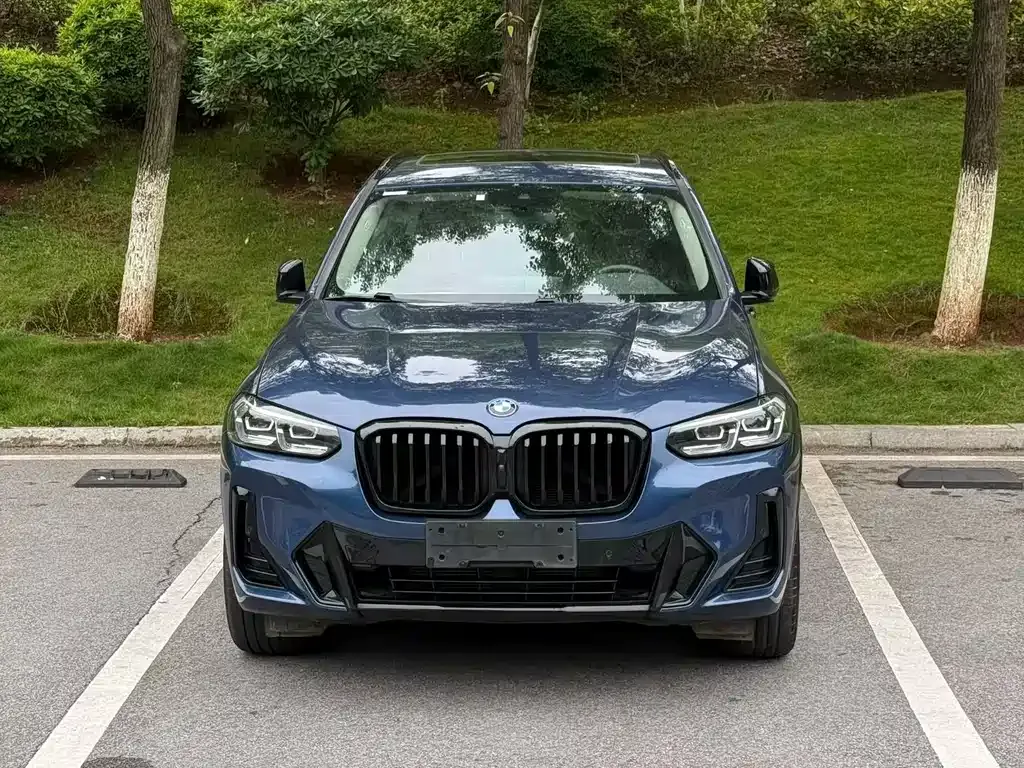 BMW X3 — фото 9