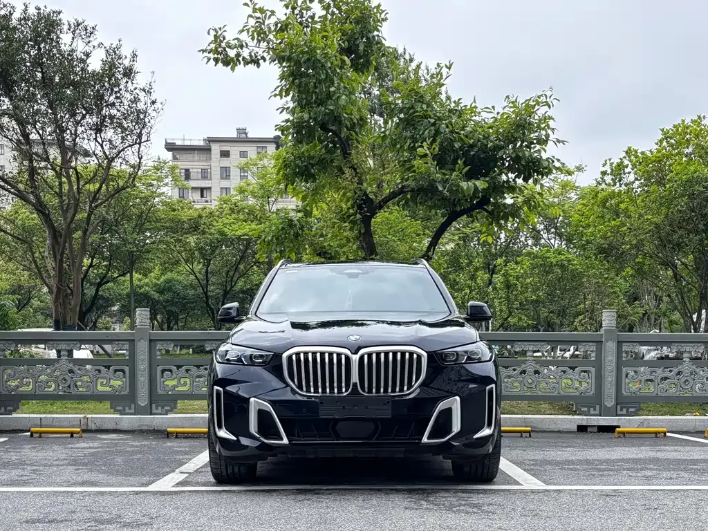 BMW X5 — фото 8