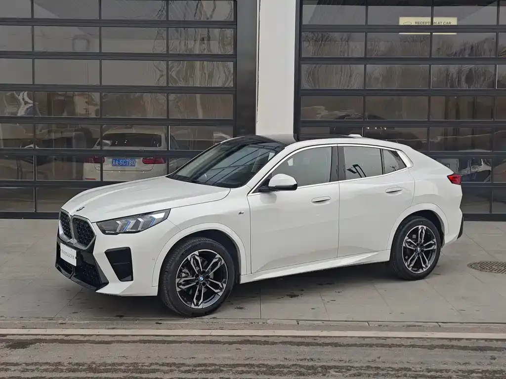 BMW X2 (Import) — фото 1