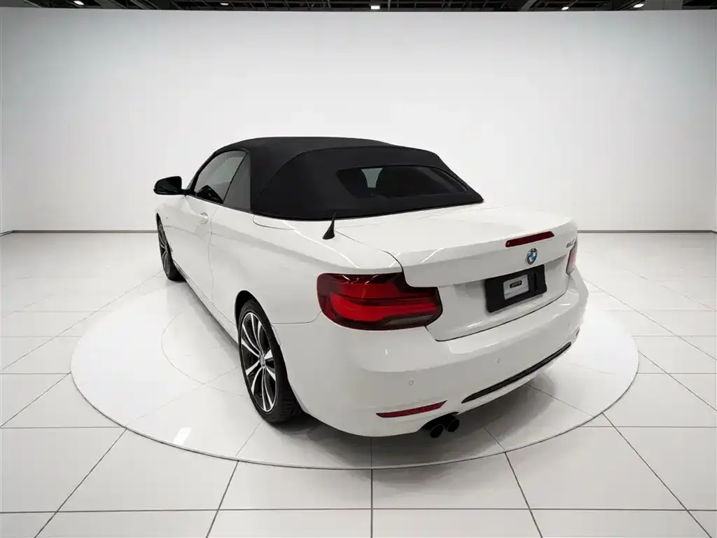 BMW 2 Series (Import) — фото 10
