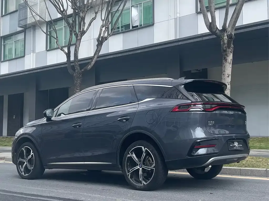 BYD Tang New Energy — фото 10