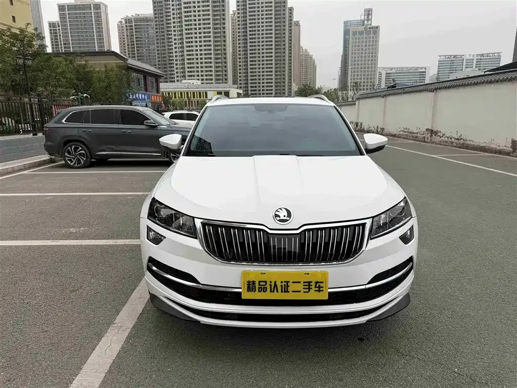 Skoda Karoq — фото 6