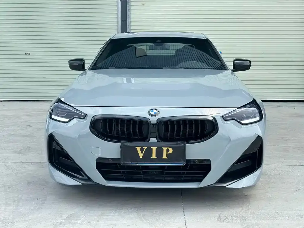 BMW 2 Series (Import) — фото 8