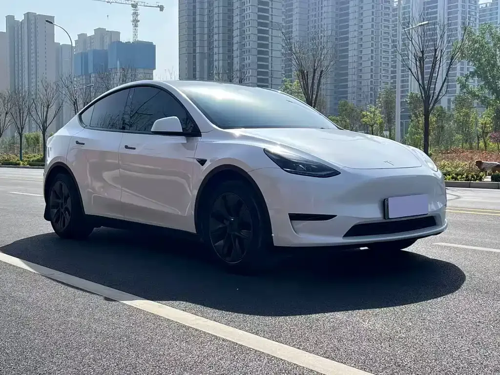 Tesla Model Y — фото 5