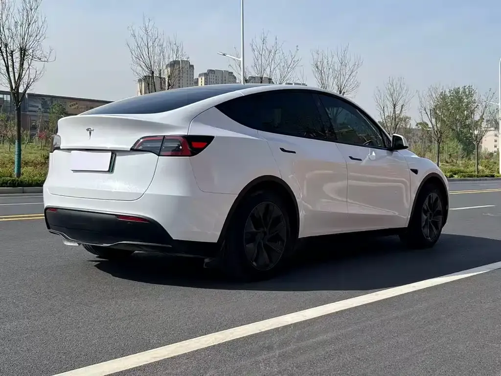Tesla Model Y — фото 8