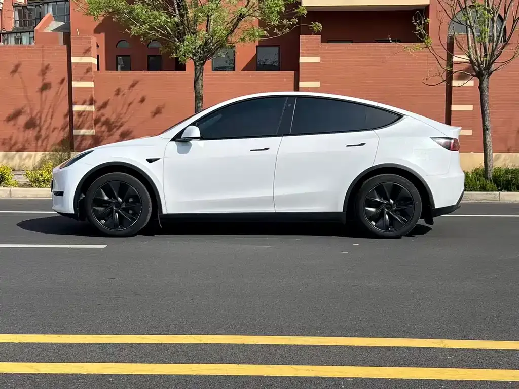 Tesla Model Y — фото 7