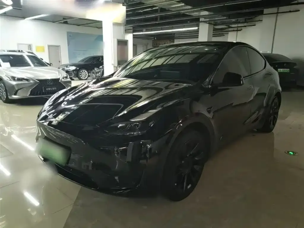 Tesla Model Y — фото 1