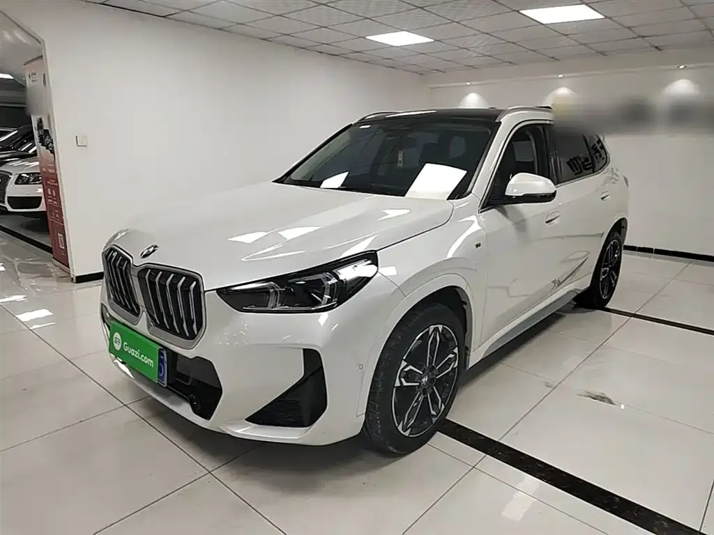 BMW X1 — фото 1