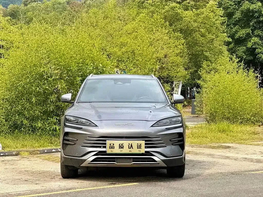 BYD PLUS New Energy — фото 1