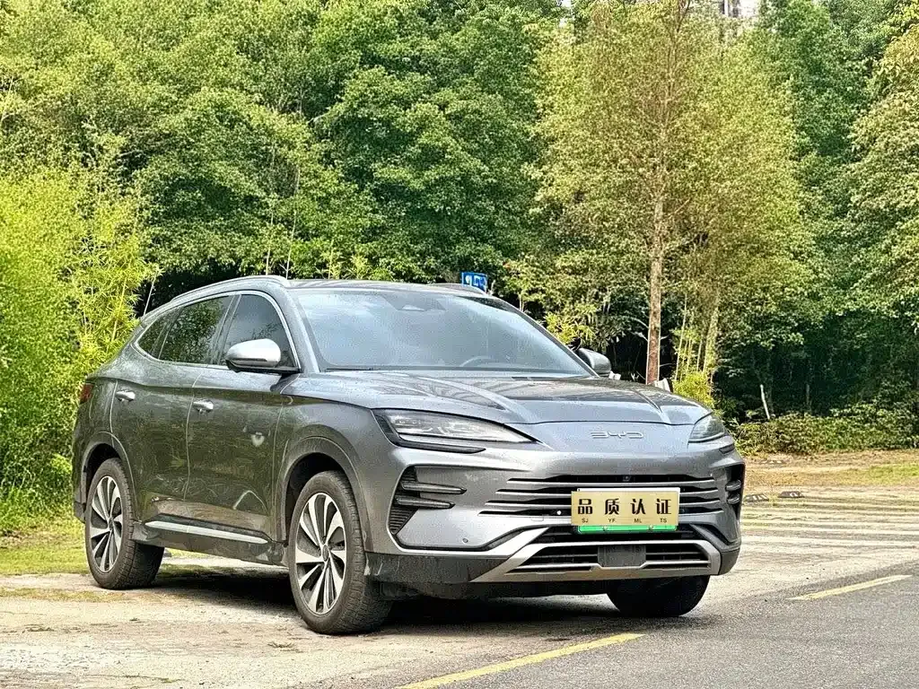 BYD PLUS New Energy — фото 7