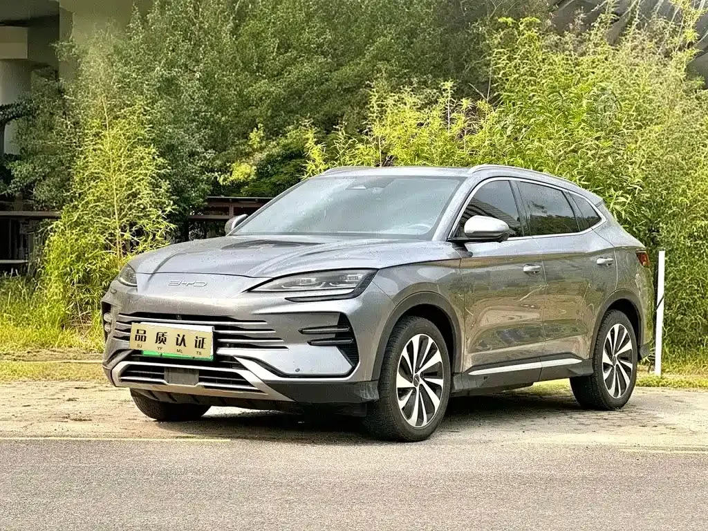 BYD PLUS New Energy — фото 4