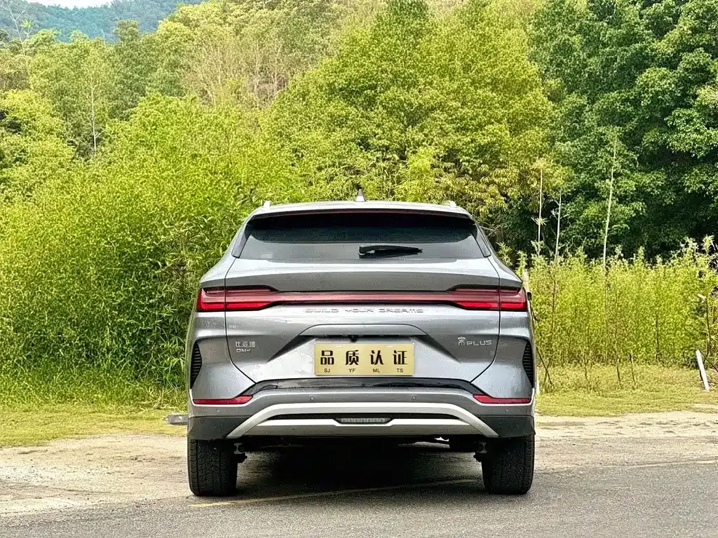 BYD PLUS New Energy — фото 8
