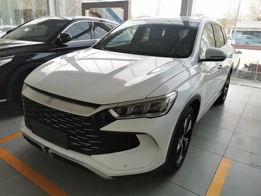 BYD Pro New Energy — фото 4
