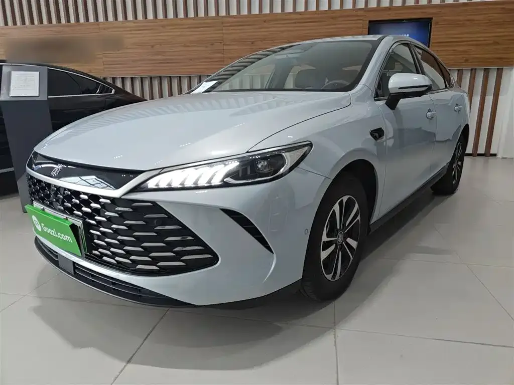 BYD Qin PLUS — фото 1