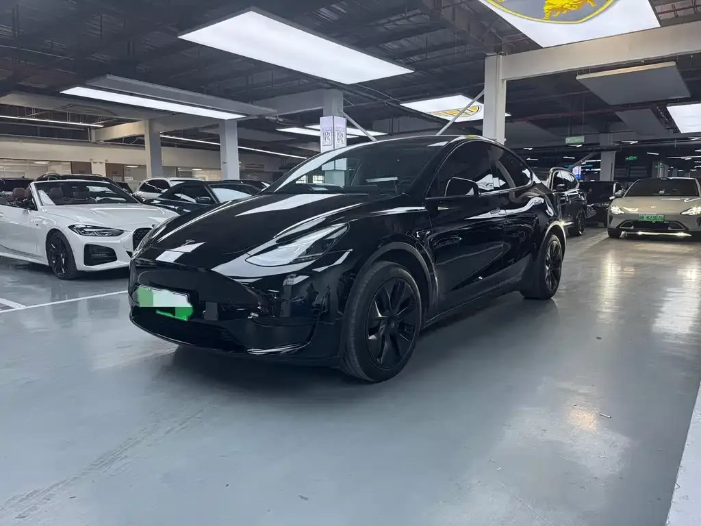 Tesla Model Y — фото 1