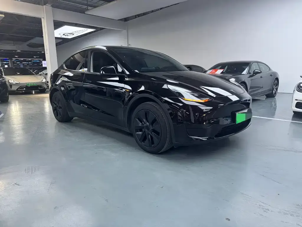 Tesla Model Y — фото 8