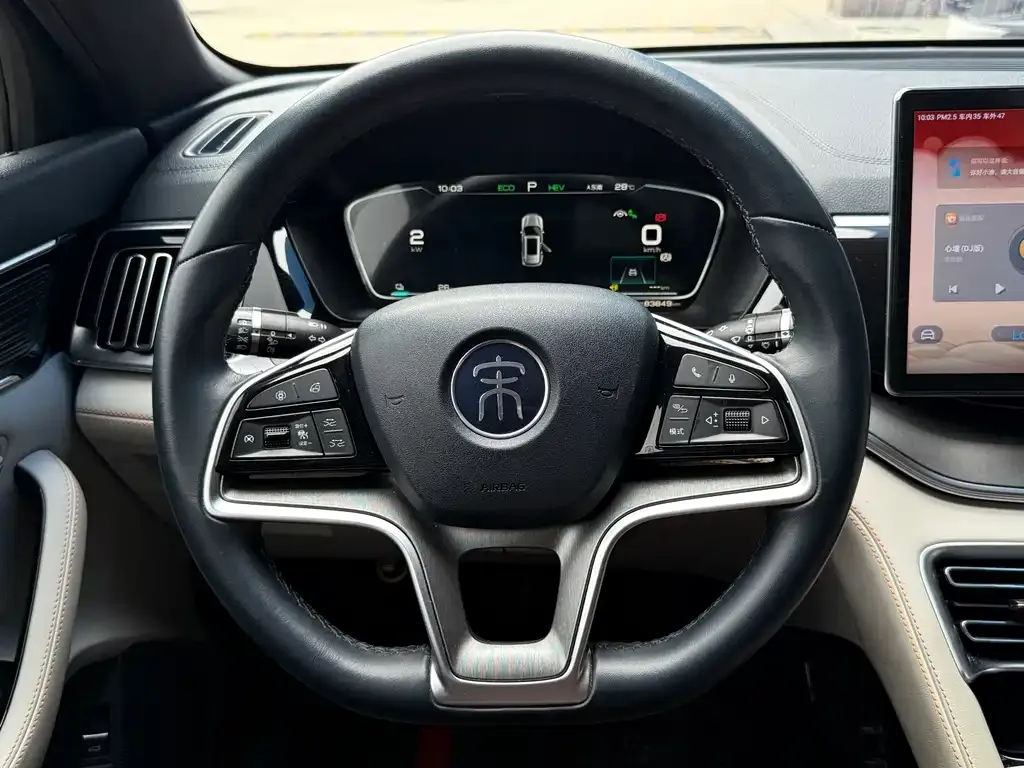 BYD PLUS New Energy — фото 2