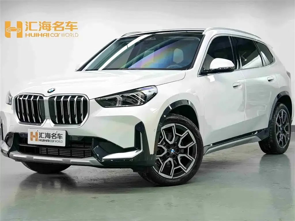 BMW X1 — фото 1