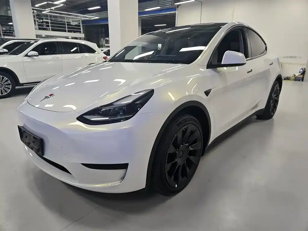Tesla Model Y — фото 1