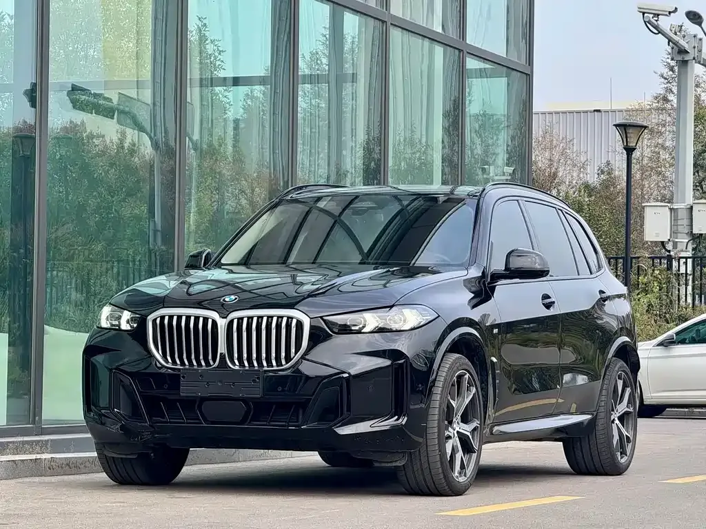 BMW X5 — фото 10