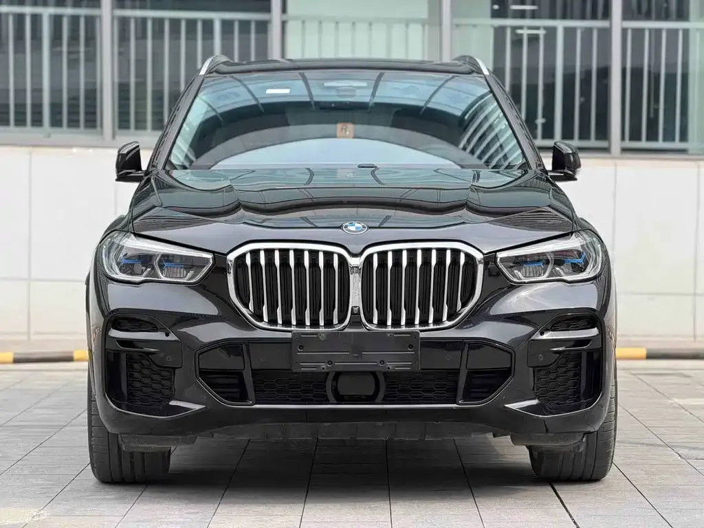 BMW X5 (Import) — фото 6