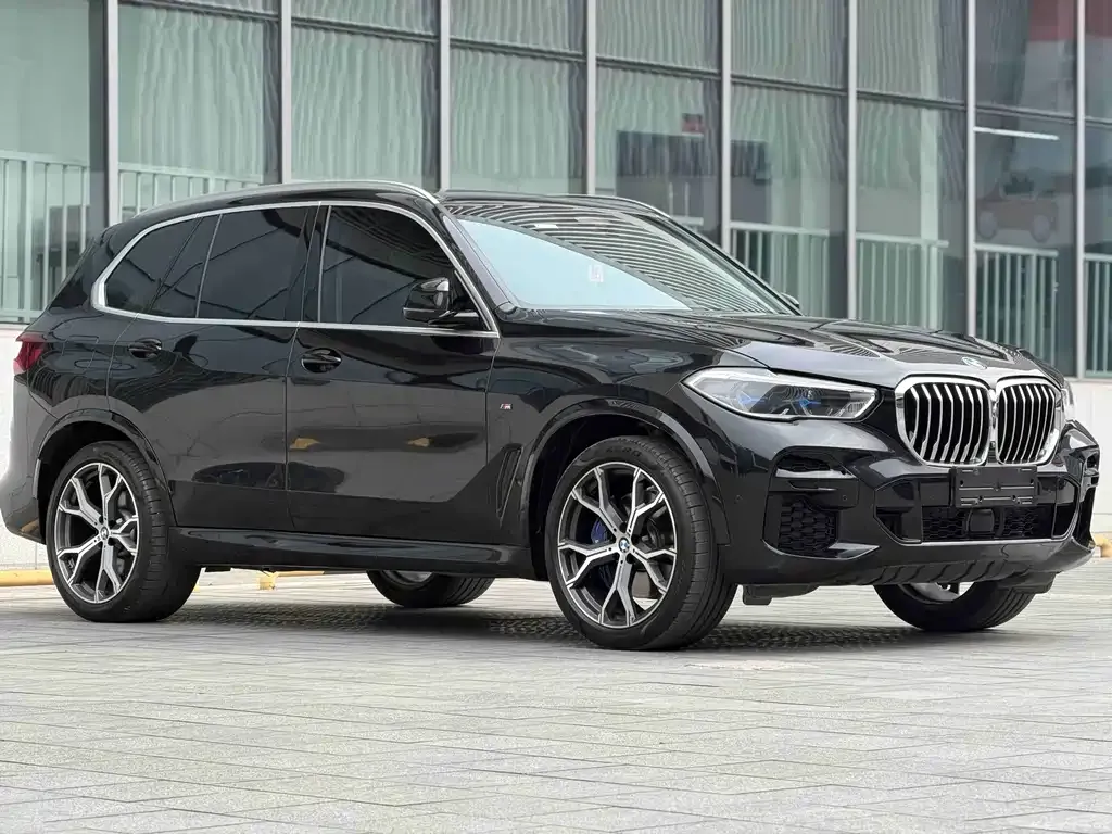 BMW X5 (Import) — фото 10
