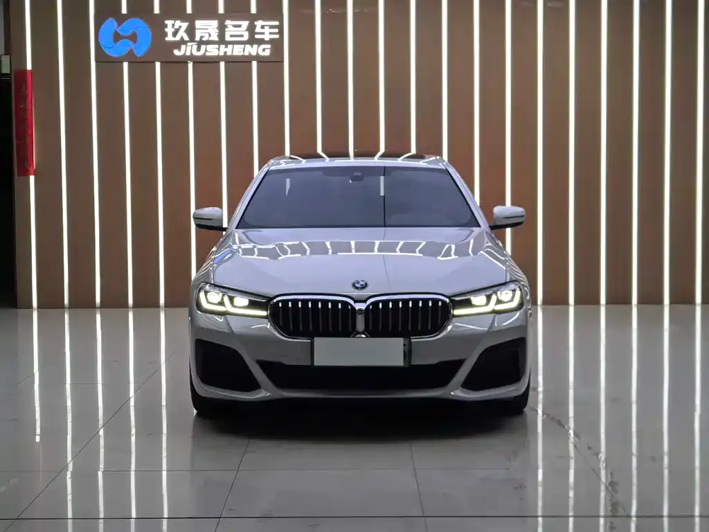 BMW 5 Series New Energy — фото 8
