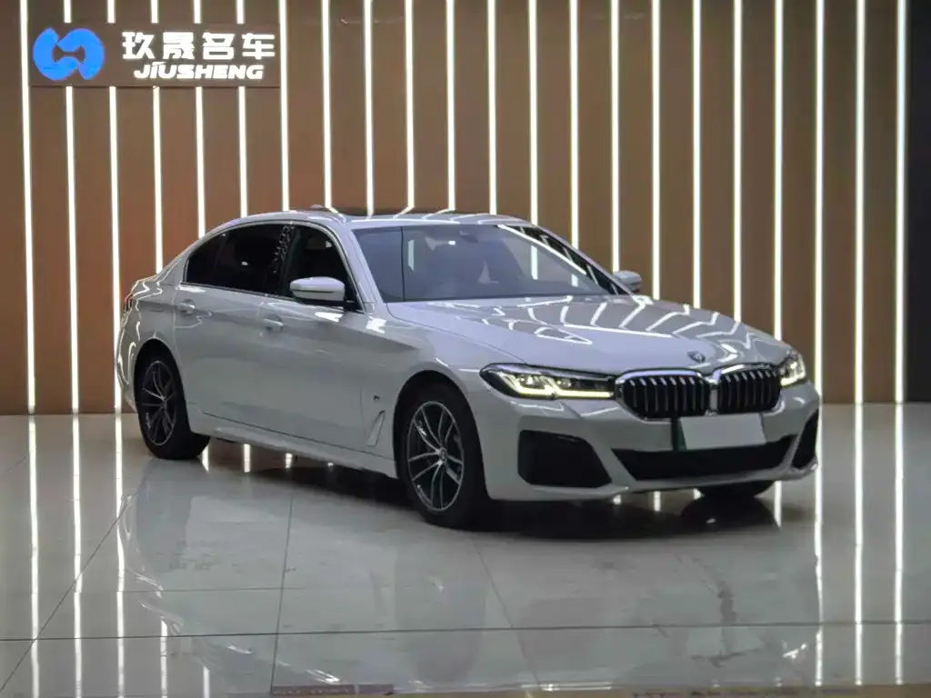BMW 5 Series New Energy — фото 4