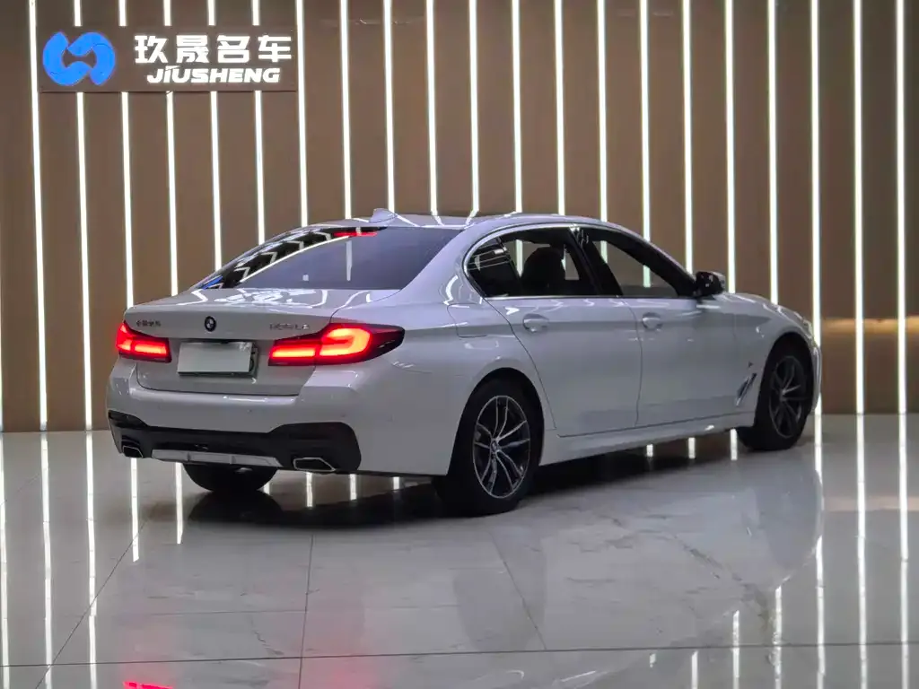 BMW 5 Series New Energy — фото 6
