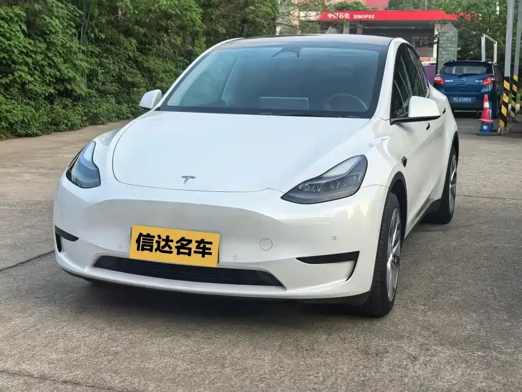 Tesla Model Y — фото 1