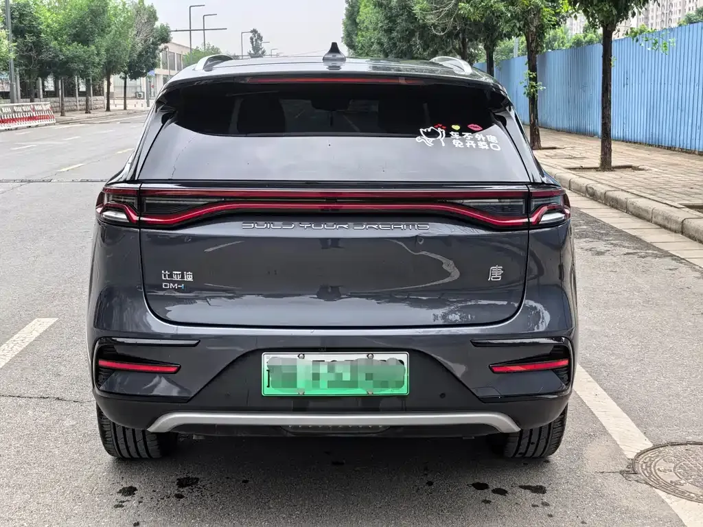 BYD Tang New Energy — фото 9